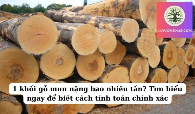 1 khối gỗ mun nặng bao nhiêu tấn Tìm hiểu ngay để biết cách tính toán chính xác