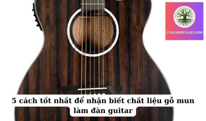 5 cách tốt nhất để nhận biết chất liệu gỗ mun làm đàn guitar