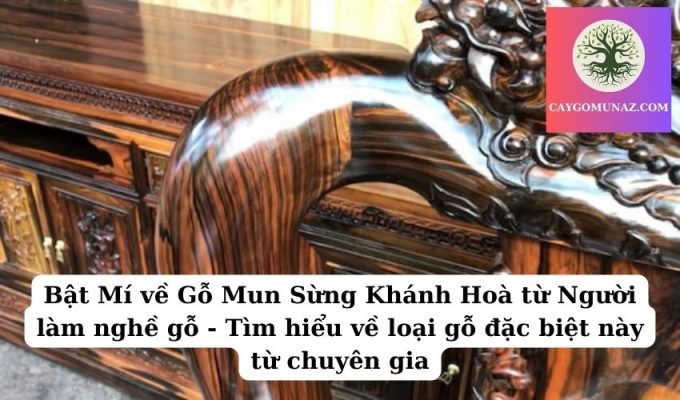 Bật Mí về Gỗ Mun Sừng Khánh Hoà từ Người làm nghề gỗ - Tìm hiểu về loại gỗ đặc biệt này từ chuyên gia