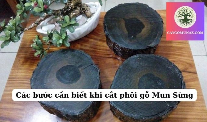 Các bước cần biết khi cắt phôi gỗ Mun Sừng