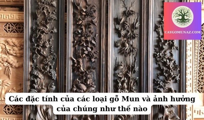 Các đặc tính của các loại gỗ Mun và ảnh hưởng của chúng như thế nào