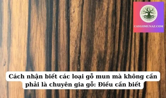 Cách nhận biết các loại gỗ mun mà không cần phải là chuyên gia gỗ Điều cần biết