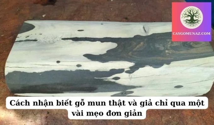 Cách nhận biết gỗ mun thật và giả chỉ qua một vài mẹo đơn giản