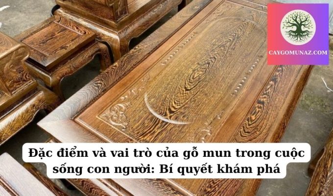 Đặc điểm và vai trò của gỗ mun trong cuộc sống con người Bí quyết khám phá