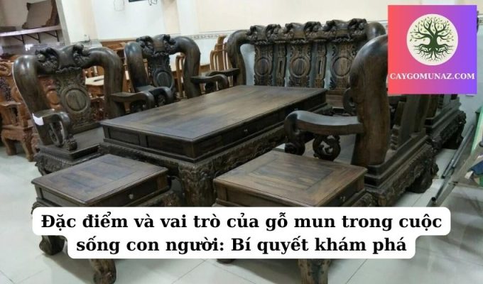 Đặc điểm và vai trò của gỗ mun trong cuộc sống con người Bí quyết khám phá