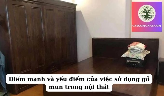 Điểm mạnh và yếu điểm của việc sử dụng gỗ mun trong nội thất