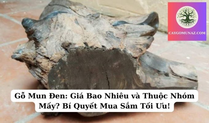 Gỗ Mun Đen Giá Bao Nhiêu và Thuộc Nhóm Mấy Bí Quyết Mua Sắm Tối Ưu!