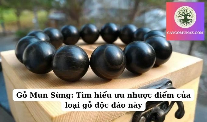 Gỗ Mun Sừng Tìm hiểu ưu nhược điểm của loại gỗ độc đáo này