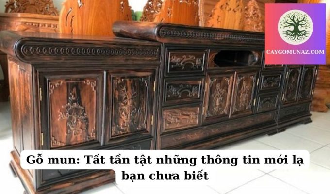 Gỗ mun Tất tần tật những thông tin mới lạ bạn chưa biết