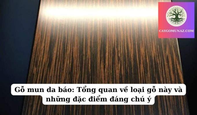 Gỗ mun da báo Tổng quan về loại gỗ này và những đặc điểm đáng chú ý