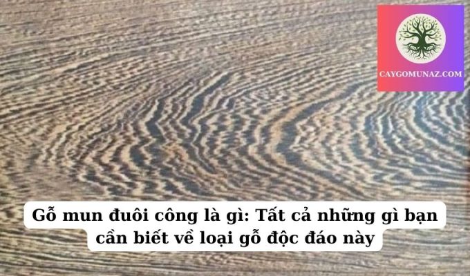 Gỗ mun đuôi công là gì Tất cả những gì bạn cần biết về loại gỗ độc đáo này