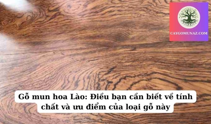 Gỗ mun hoa Lào Điều bạn cần biết về tính chất và ưu điểm của loại gỗ này