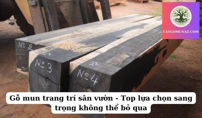 Gỗ mun trang trí sân vườn - Top lựa chọn sang trọng không thể bỏ qua