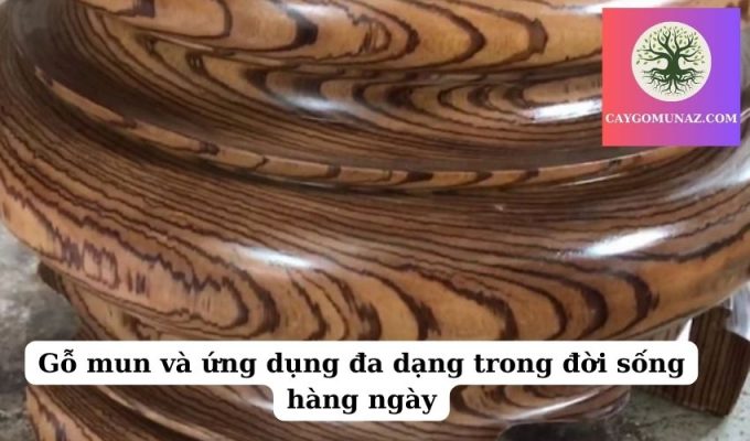 Gỗ mun và ứng dụng đa dạng trong đời sống hàng ngày