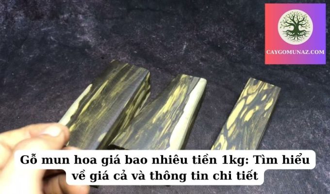 Gỗ mun hoa giá bao nhiêu tiền 1kg Tìm hiểu về giá cả và thông tin chi tiết