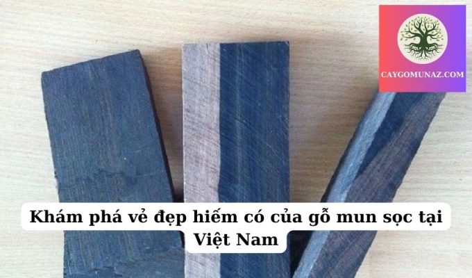 Khám phá vẻ đẹp hiếm có của gỗ mun sọc tại Việt Nam