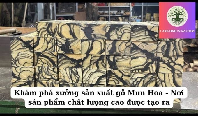 Khám phá xưởng sản xuất gỗ Mun Hoa - Nơi sản phẩm chất lượng cao được tạo ra