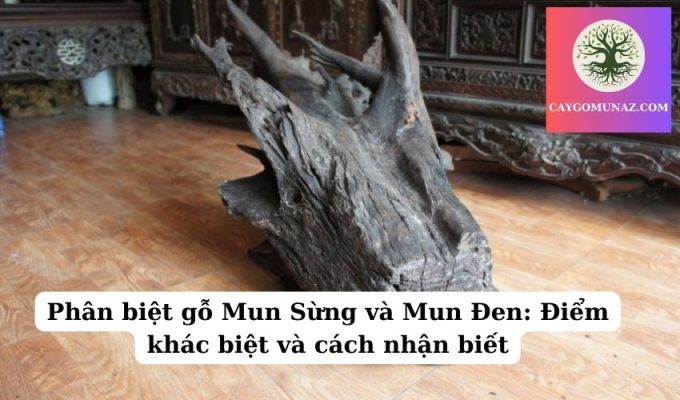 Phân biệt gỗ Mun Sừng và Mun Đen Điểm khác biệt và cách nhận biết