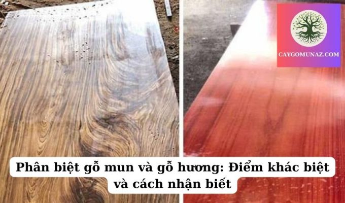 Phân biệt gỗ mun và gỗ hương: Điểm khác biệt và cách nhận biết