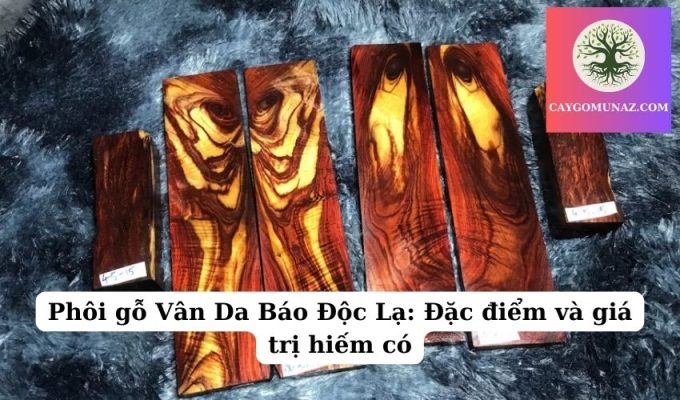 Phôi gỗ Vân Da Báo Độc Lạ Đặc điểm và giá trị hiếm có