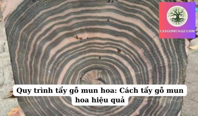 Quy trình tẩy gỗ mun hoa Cách tẩy gỗ mun hoa hiệu quả