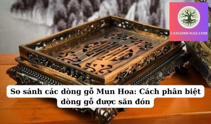 So sánh các dòng gỗ Mun Hoa Cách phân biệt dòng gỗ được săn đón