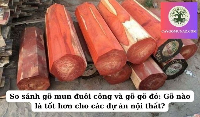 - So sánh gỗ mun đuôi công và gỗ gõ đỏ Gỗ nào là tốt hơn cho các dự án nội thất