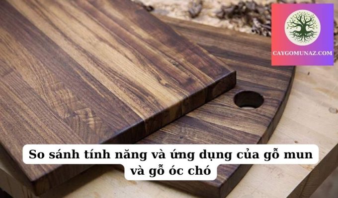 So sánh tính năng và ứng dụng của gỗ mun và gỗ óc chó