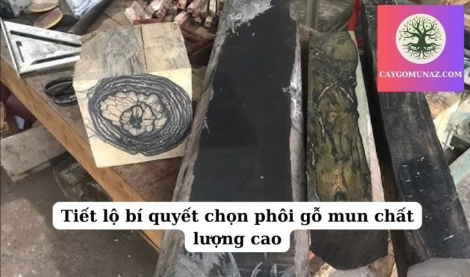 Tiết lộ bí quyết chọn phôi gỗ mun chất lượng cao